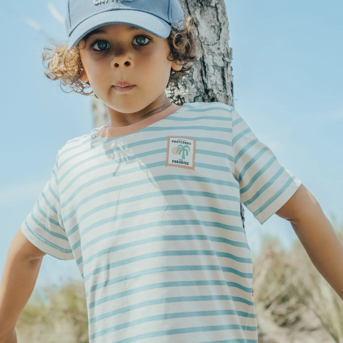 Crywolf Sun Smart T-Shirt -  Blue Stripe